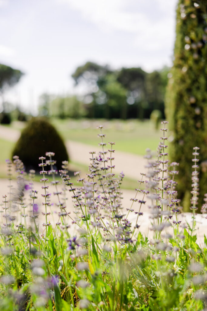 Wedding Venues in Provence 10 Provence Wedding 10 683x1024 1