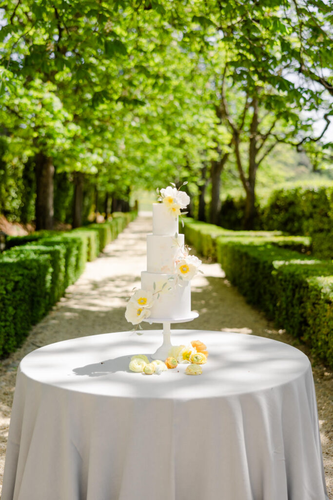 Wedding Venues in Provence 5 Provence Wedding 5 683x1024 1