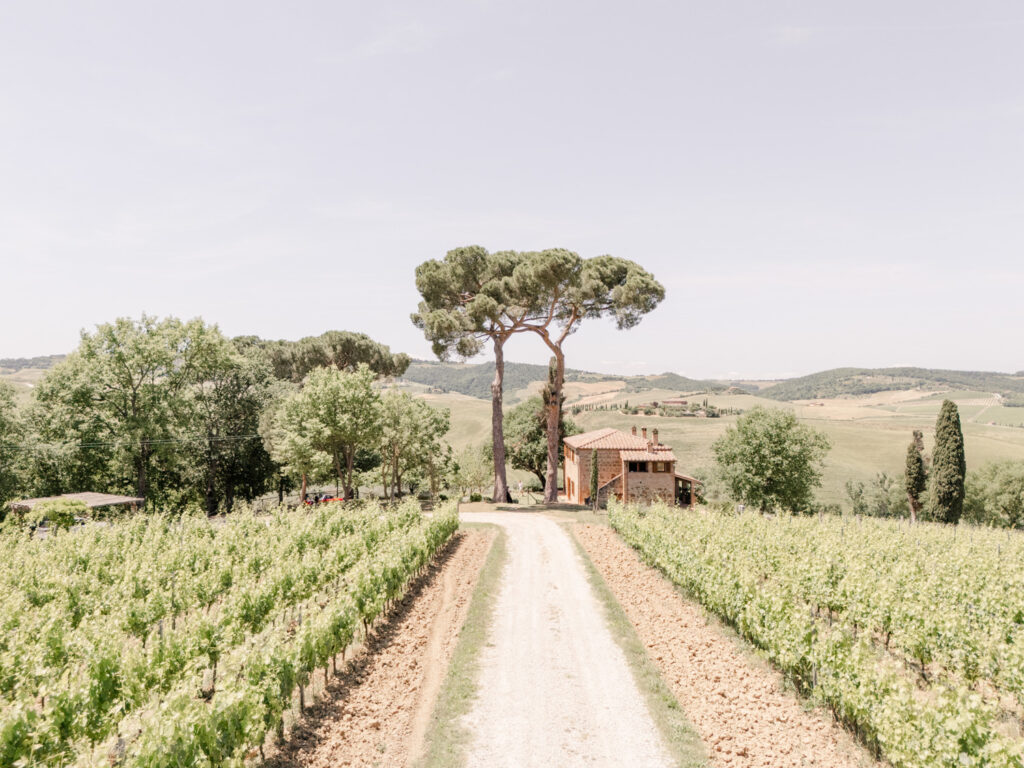 Marry me in Tuscany 2 Marry me in Tuscany 29 1024x768 1