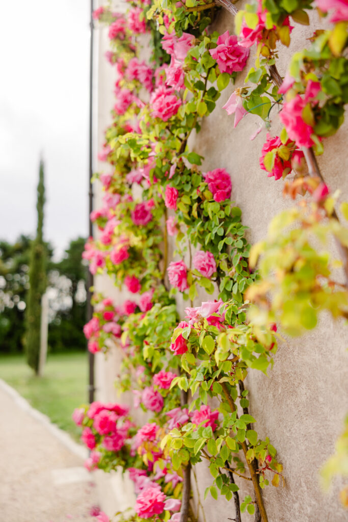 Madebride in GALA Greece 24 683x1024 1